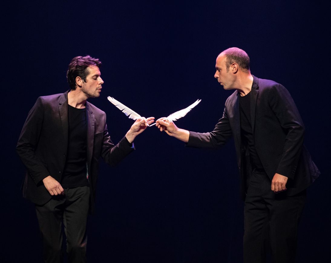 Chanteurs doiseaux back office.jpg